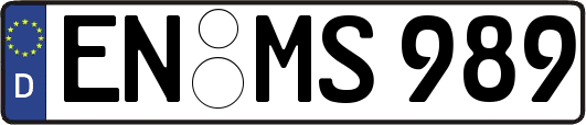 EN-MS989