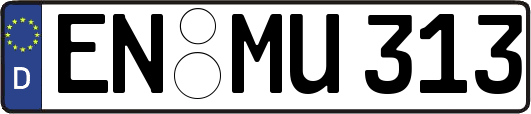 EN-MU313