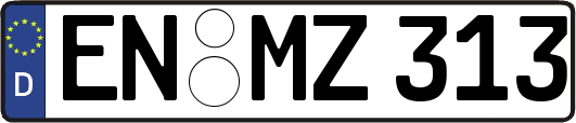 EN-MZ313