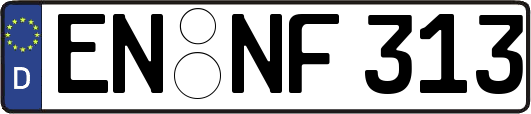 EN-NF313