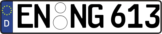 EN-NG613