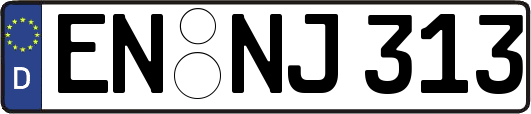EN-NJ313