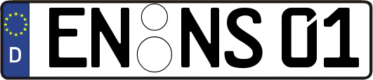 EN-NS01