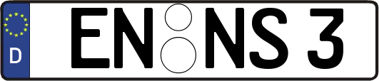 EN-NS3