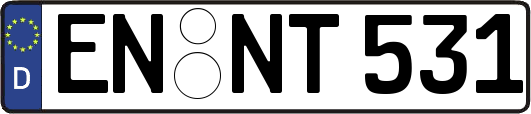 EN-NT531