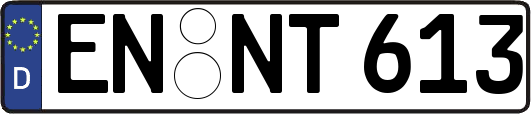 EN-NT613