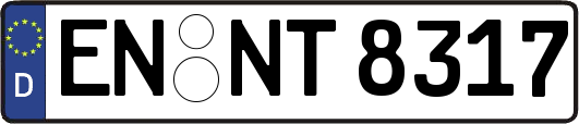 EN-NT8317
