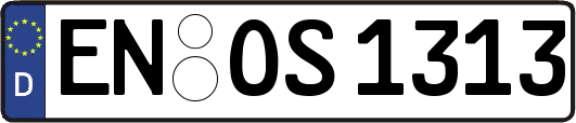 EN-OS1313