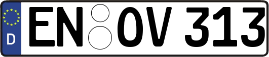 EN-OV313