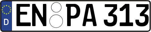 EN-PA313