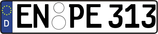 EN-PE313