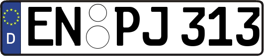 EN-PJ313