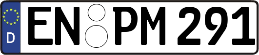 EN-PM291