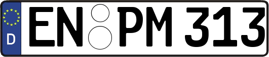 EN-PM313