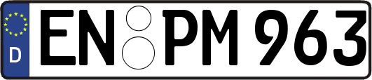 EN-PM963