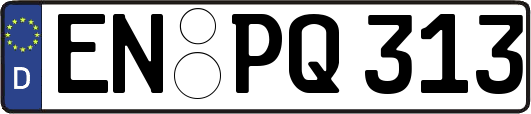 EN-PQ313