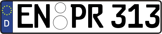 EN-PR313