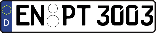EN-PT3003