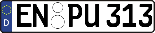 EN-PU313