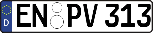 EN-PV313