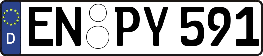 EN-PY591