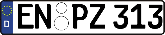 EN-PZ313