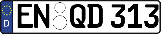EN-QD313