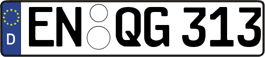 EN-QG313