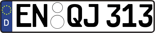EN-QJ313