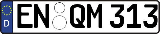 EN-QM313