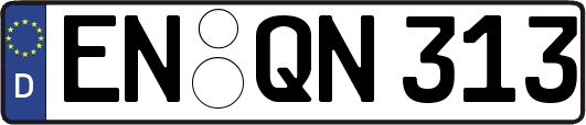 EN-QN313