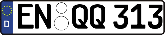 EN-QQ313
