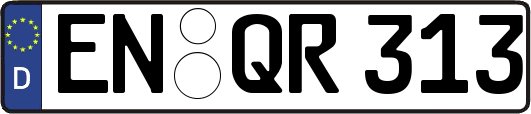 EN-QR313