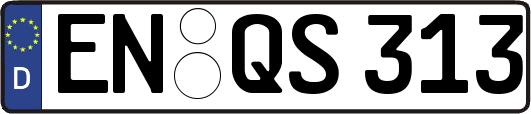 EN-QS313