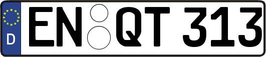 EN-QT313