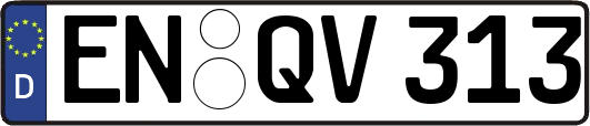 EN-QV313