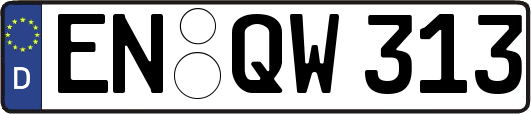 EN-QW313