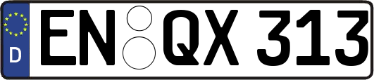 EN-QX313
