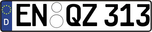 EN-QZ313