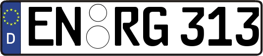 EN-RG313