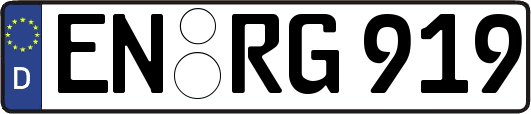 EN-RG919
