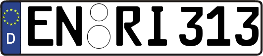 EN-RI313
