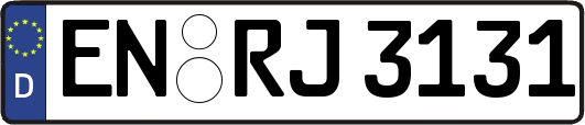 EN-RJ3131