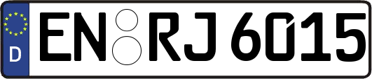 EN-RJ6015