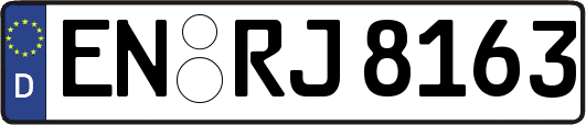 EN-RJ8163