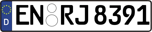 EN-RJ8391