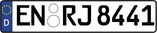 EN-RJ8441