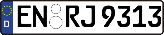 EN-RJ9313