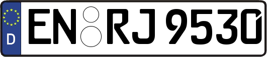 EN-RJ9530
