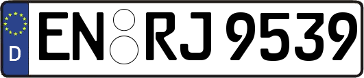 EN-RJ9539